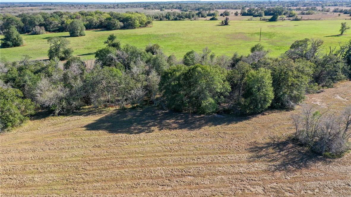 Bedias, TX 77831,Lot 6 County Rd 229