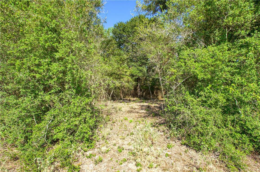Bedias, TX 77831,000 County Rd 151