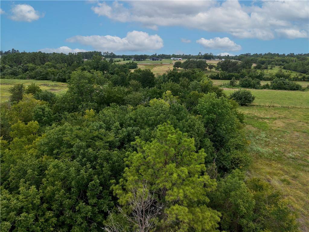 Anderson, TX 77830,TBD FM 2819