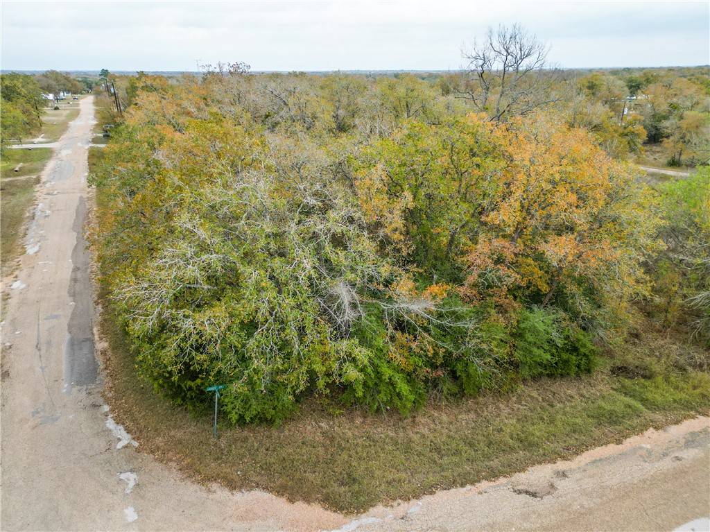 Somerville, TX 77879,319 Shady Oak ST