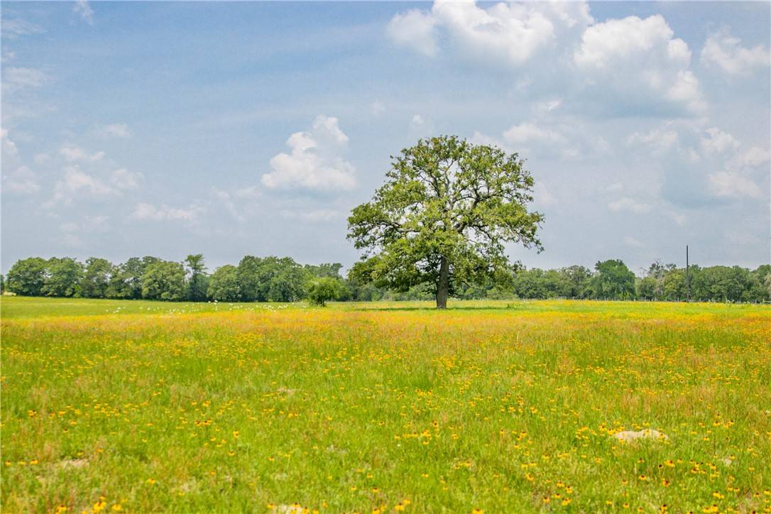 Somerville, TX 77879,Lot 31 Legacy Rd