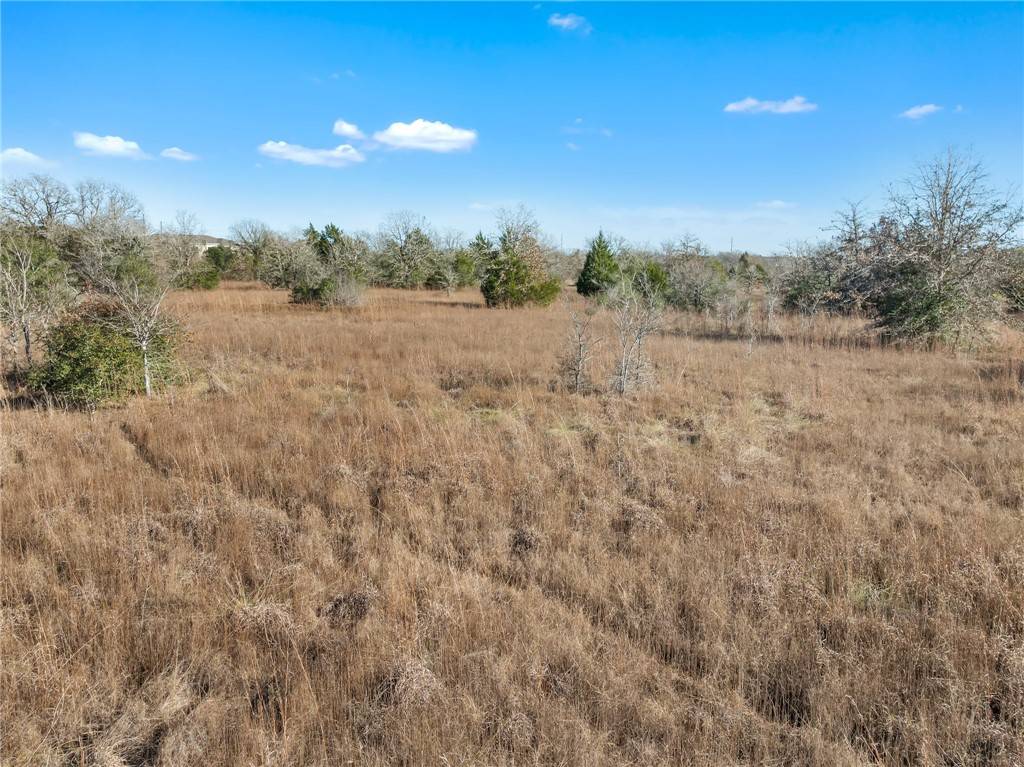 College Station, TX 77845,n/a Whites Creek LN