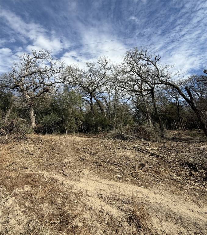 Caldwell, TX 77836,TBD Oaks DR