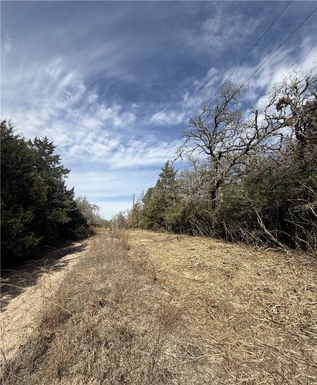 Caldwell, TX 77836,TBD Oaks DR