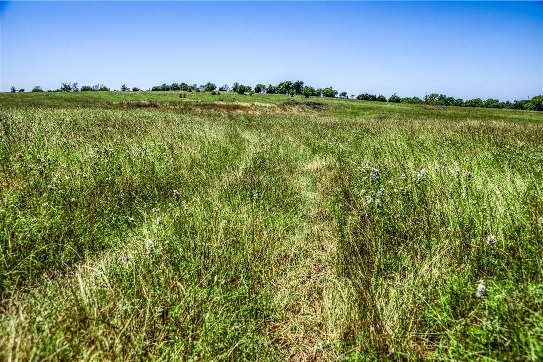 New Ulm, TX 78950,4753 Blezinger RD
