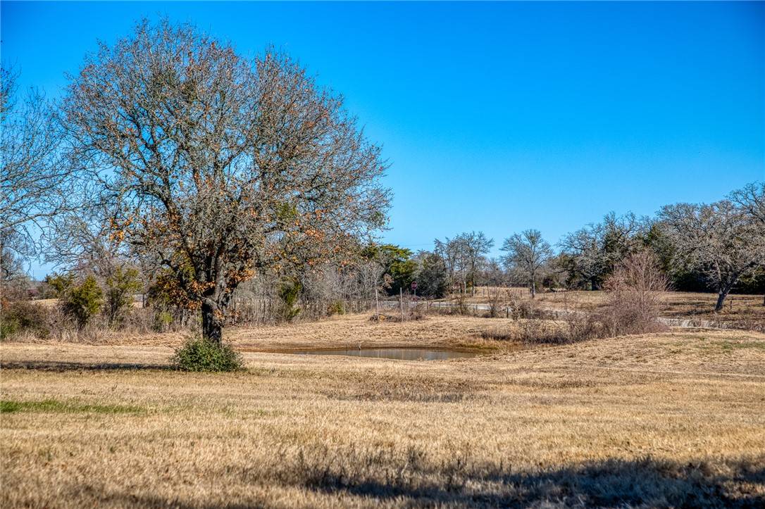Caldwell, TX 77836,6196 FM 975
