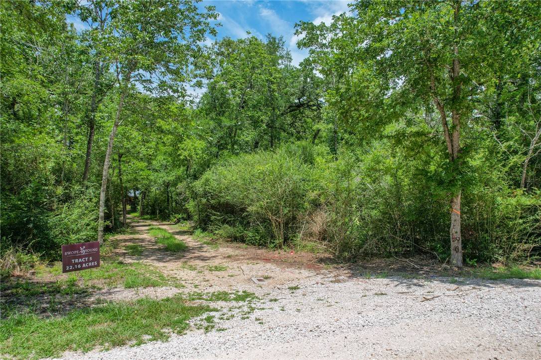College Station, TX 77845,Tract 5 Jones RD