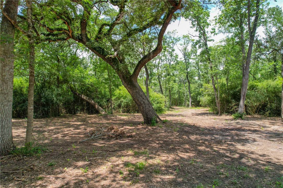 College Station, TX 77845,Tract 5 Jones RD