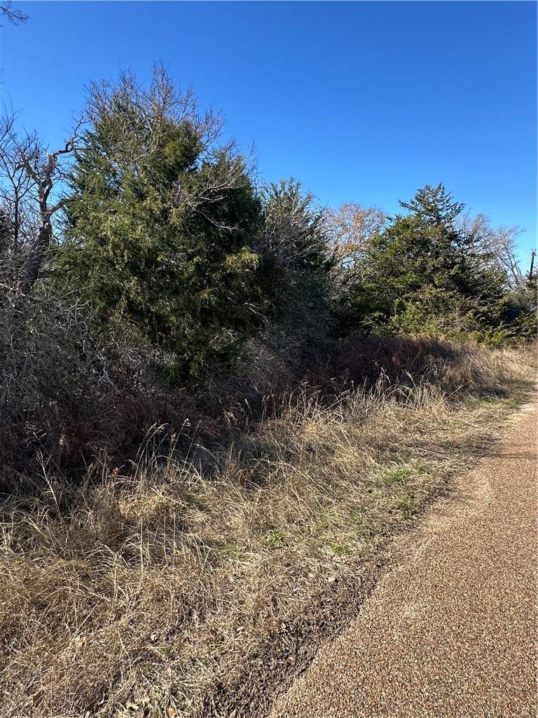 Somerville, TX 77879,TBD Lake View Loop
