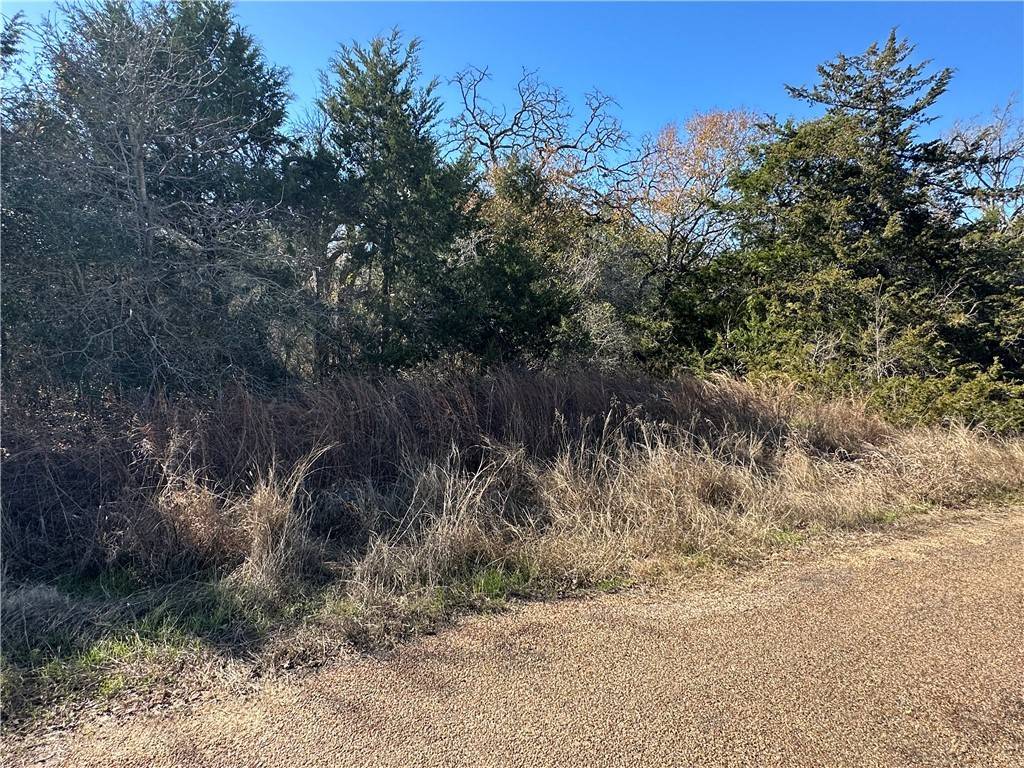 Somerville, TX 77879,TBD Lake View Loop