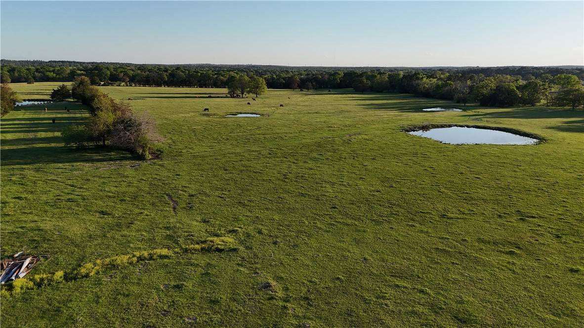 Bedias, TX 77831,0003 County Road 176