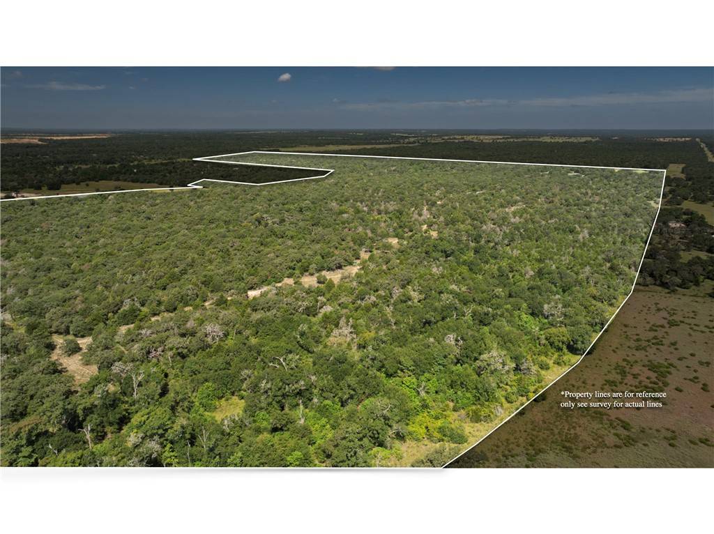 Caldwell, TX 77836,TBD Tiger TRL