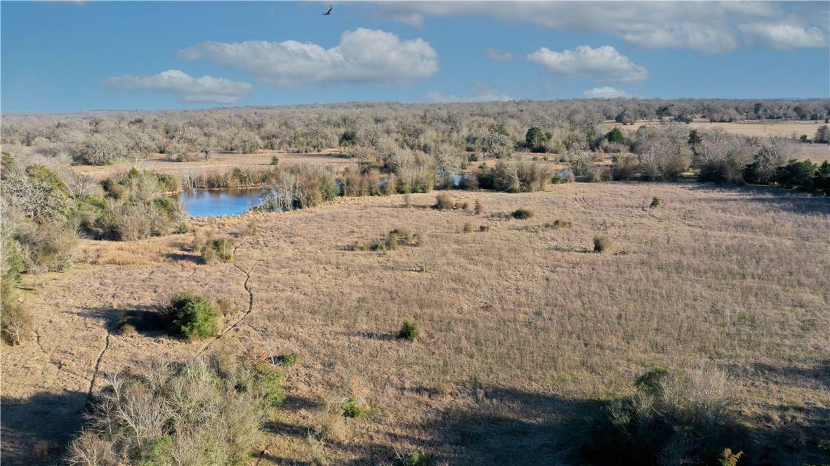 Bedias, TX 77831,TBD Tract 2 County Road 124