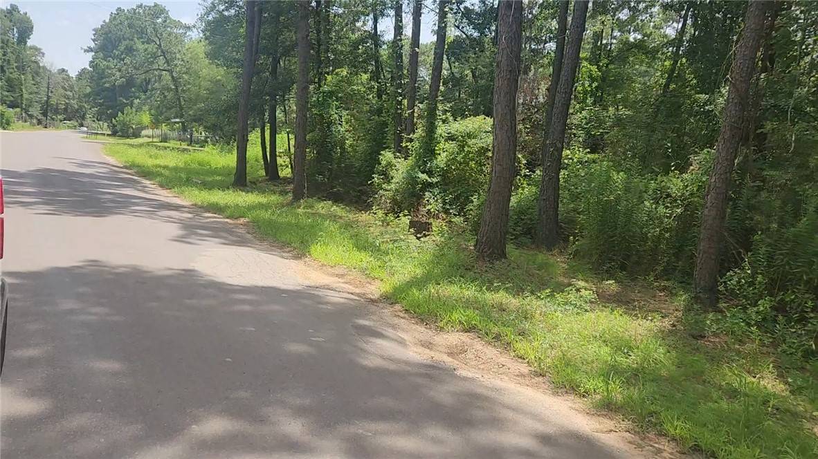 Plantersville, TX 77363,Lot 2 Honey Locust