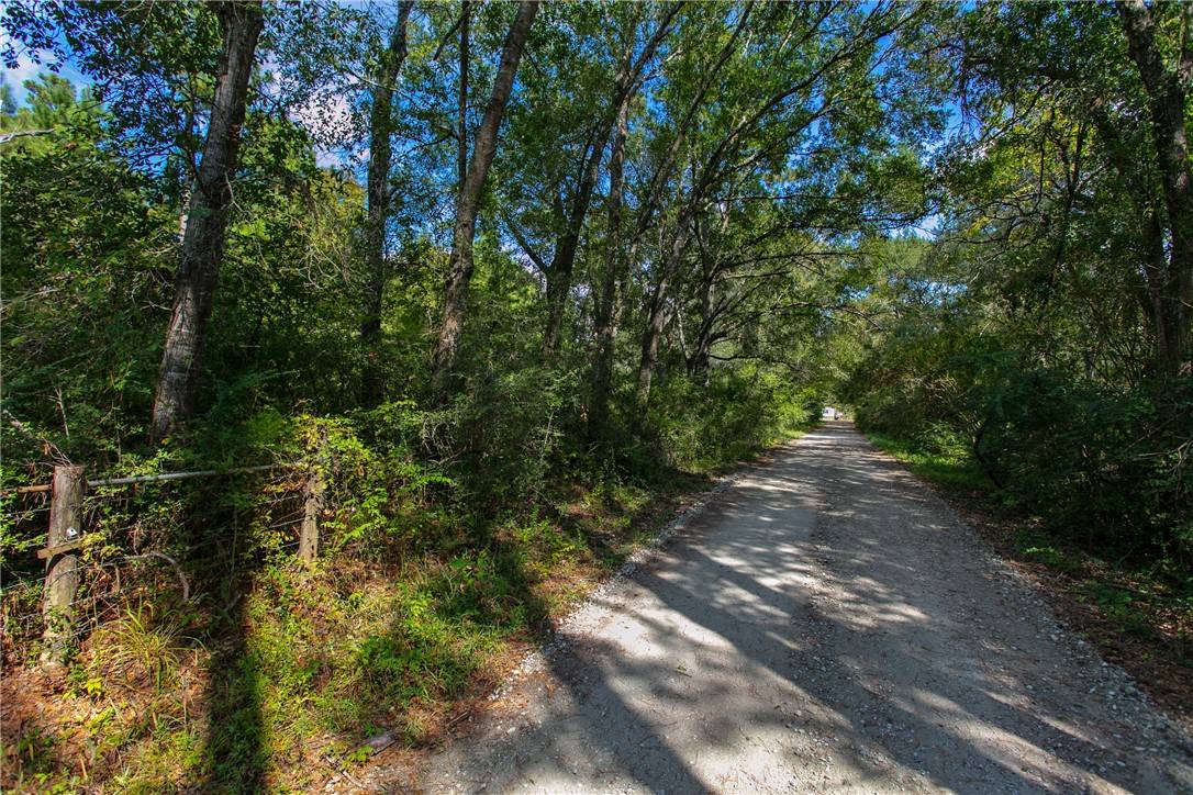 Plantersville, TX 77363,10.25 Acres CR 209