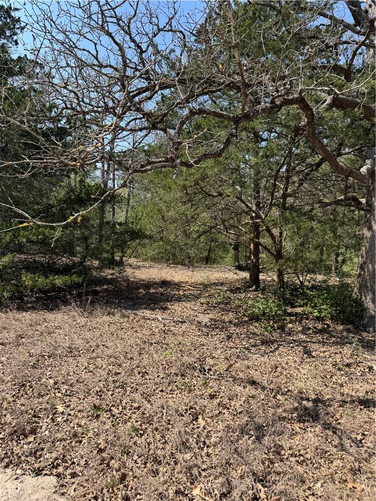 Somerville, TX 77879,232 Wooded TRL
