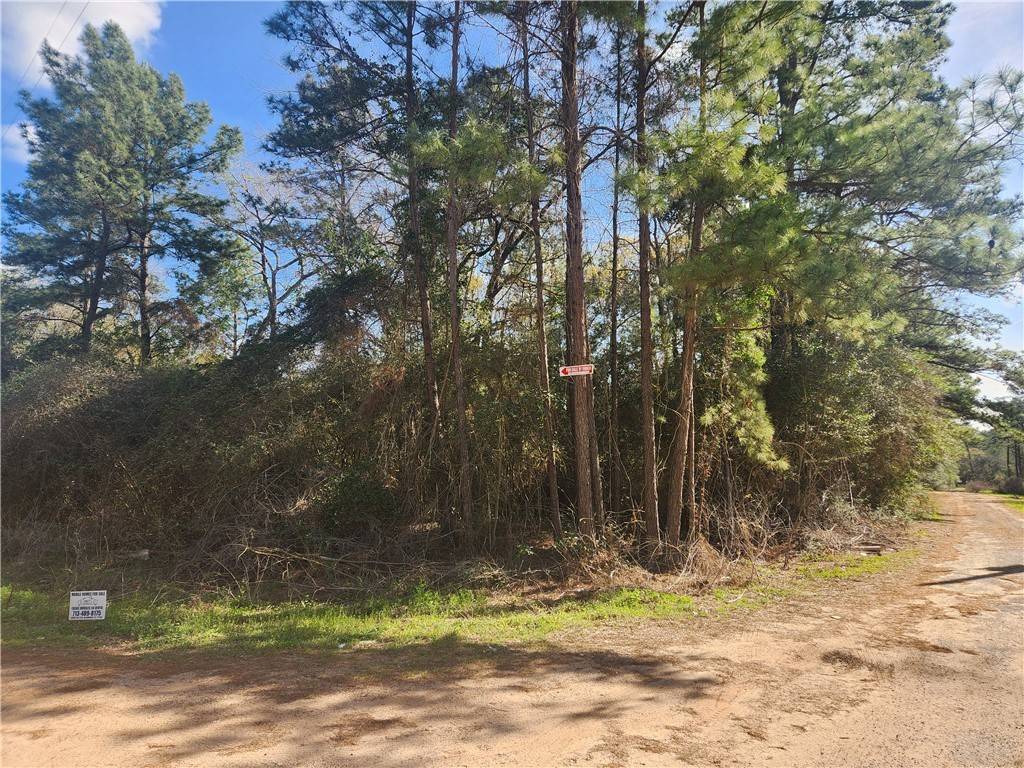 Plantersville, TX 77363,Lot 3 Live Oak