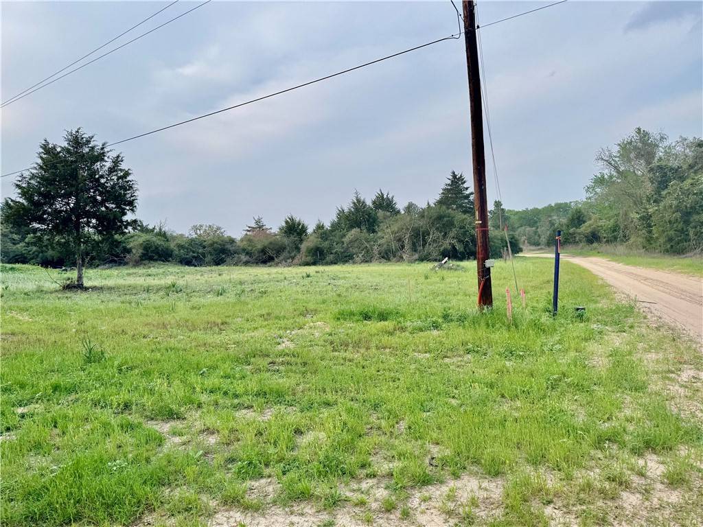 Caldwell, TX 77836,Lots 1 & 3 Fir DR