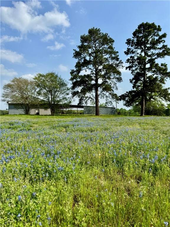 College Station, TX 77845,15420 Arhopulos RD
