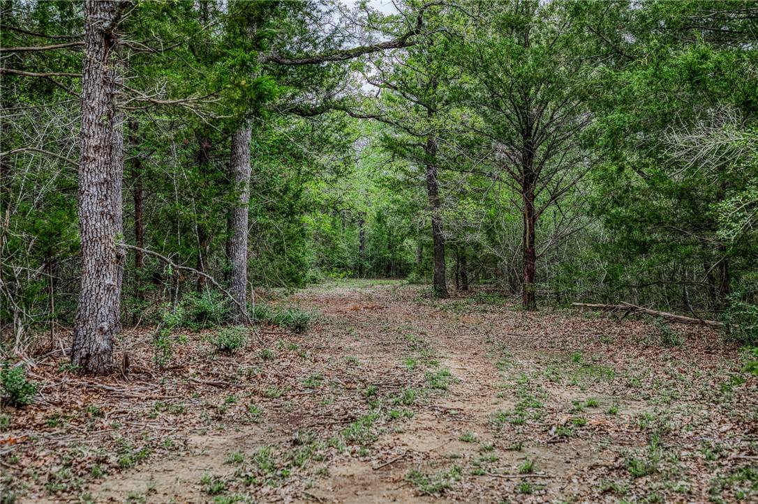 Ledbetter, TX 78946,TBD (349.84 Acres) County Road 125