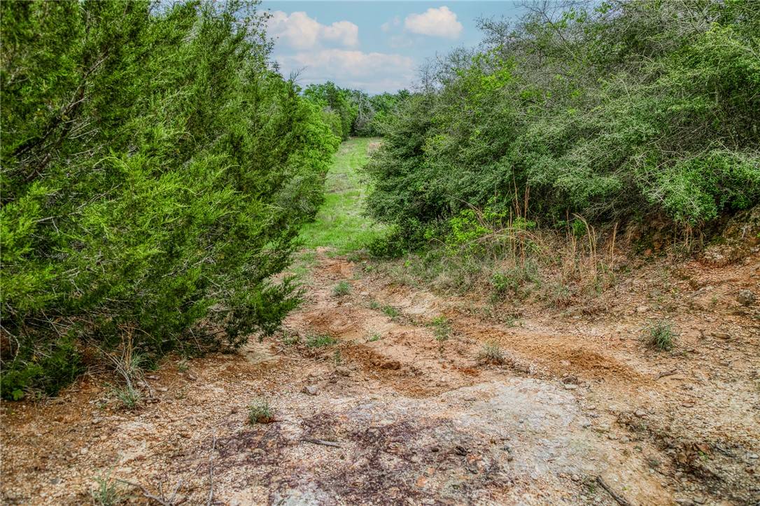 Ledbetter, TX 78946,TBD (56.135 Acres) County Road 125