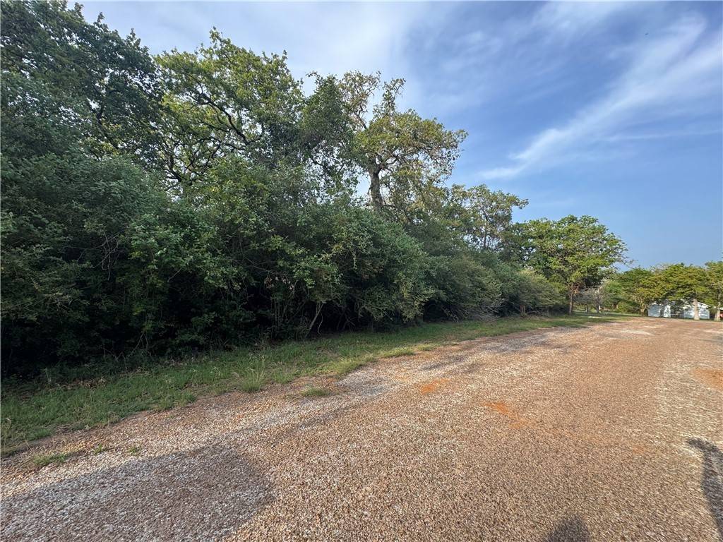 Somerville, TX 77879,TBD Bramble Wood