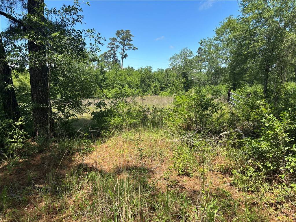 Bedias, TX 77831,TBD Dickey Loop
