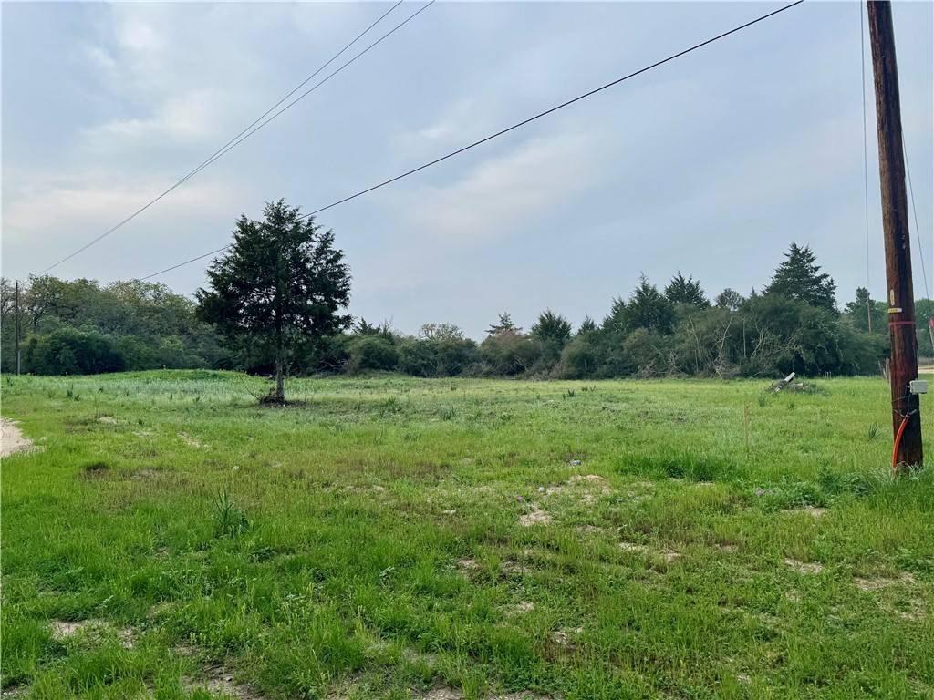 Caldwell, TX 77836,TBD Fir DR