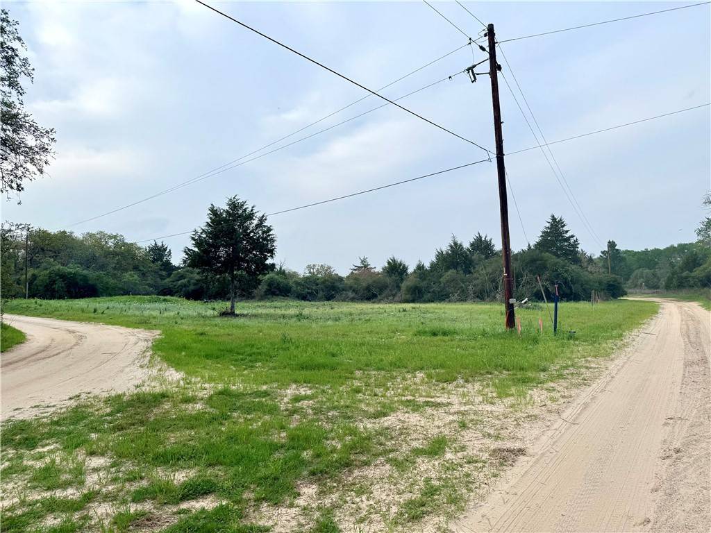 Caldwell, TX 77836,TBD Fir DR