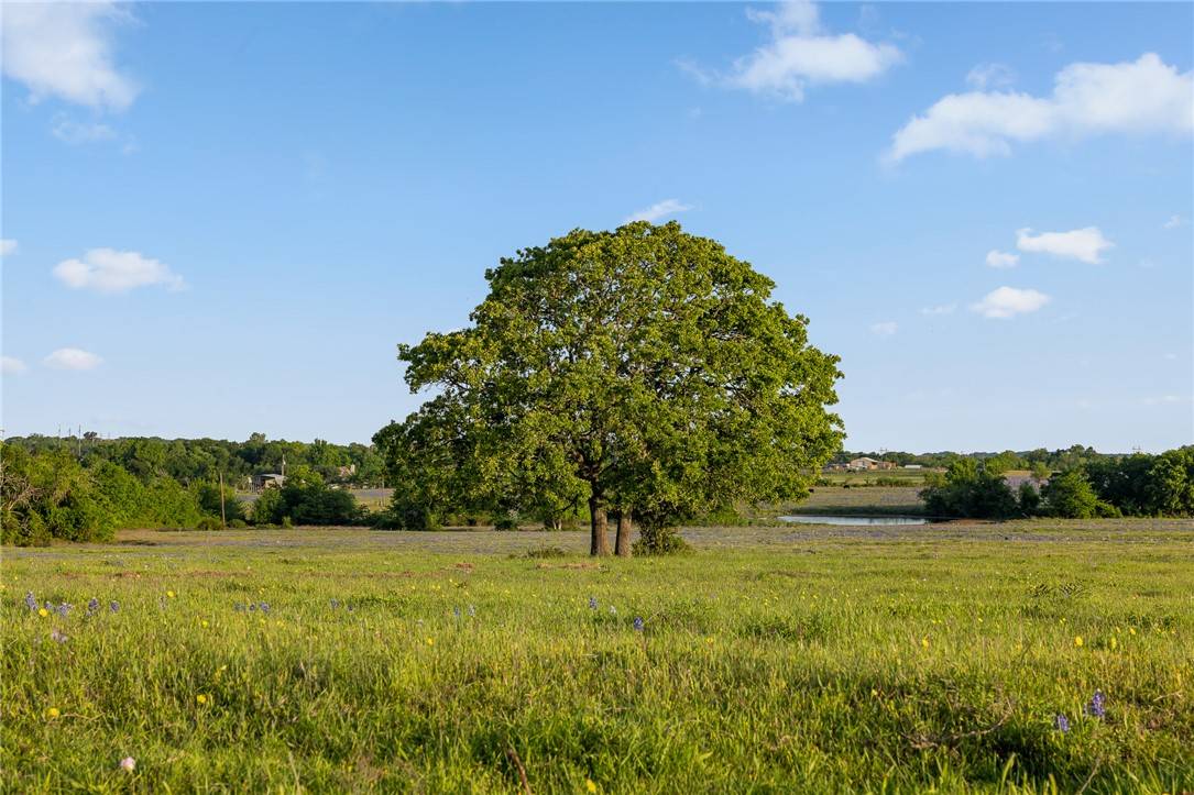 Navasota, TX 77868,000 County Road 405