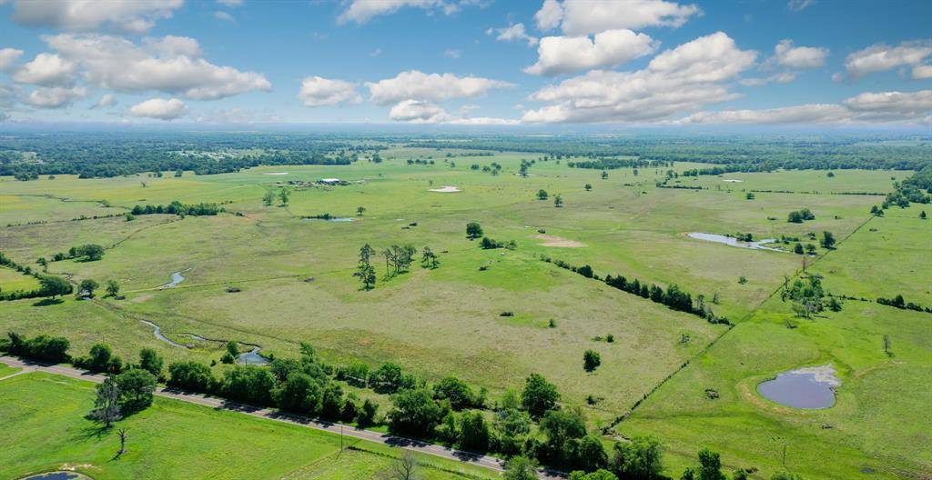 Leona, TX 77871,272 AC Farm to Market 977