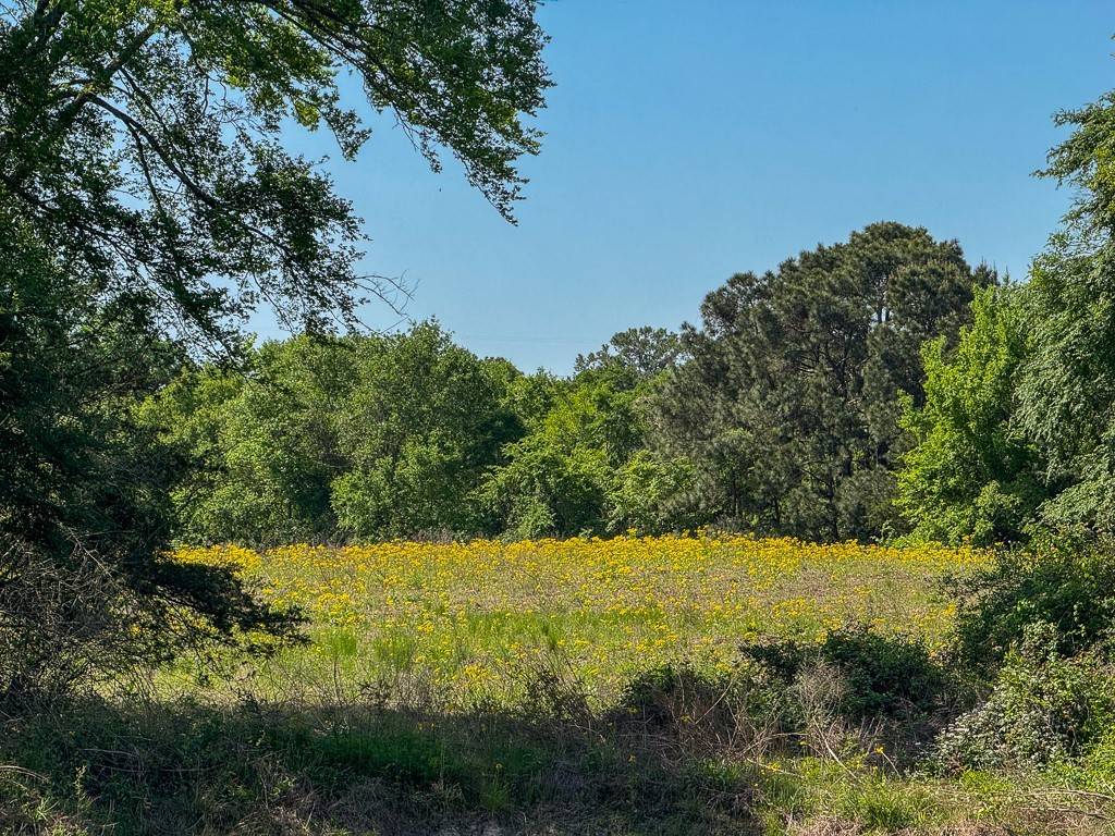 Bedias, TX 77831,00034 County Road 155