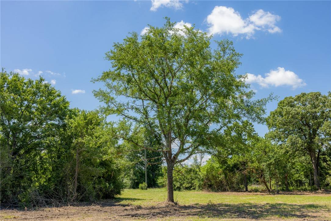 Bedias, TX 77831,6512 Atakapan Trail