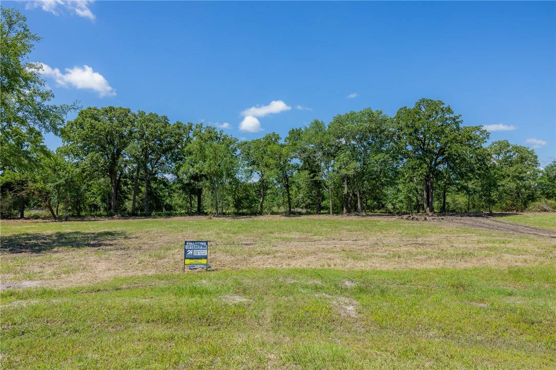 Bedias, TX 77831,6512 Atakapan Trail