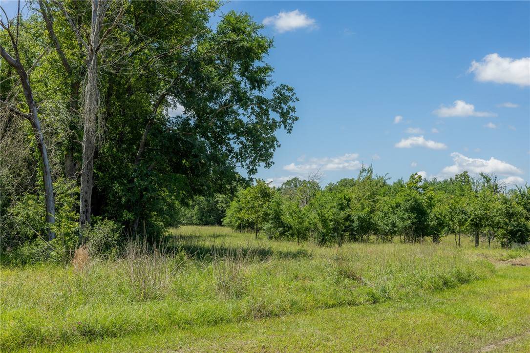 Bedias, TX 77831,10649 Atakapan Trail