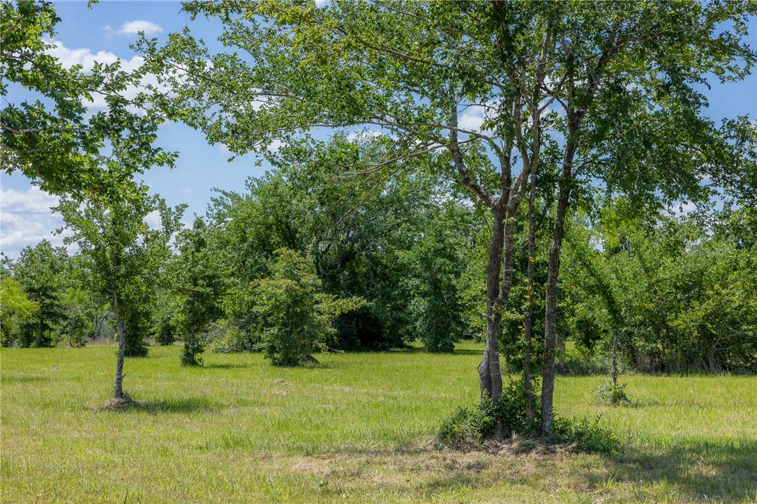Bedias, TX 77831,6798 Atakapan Trail