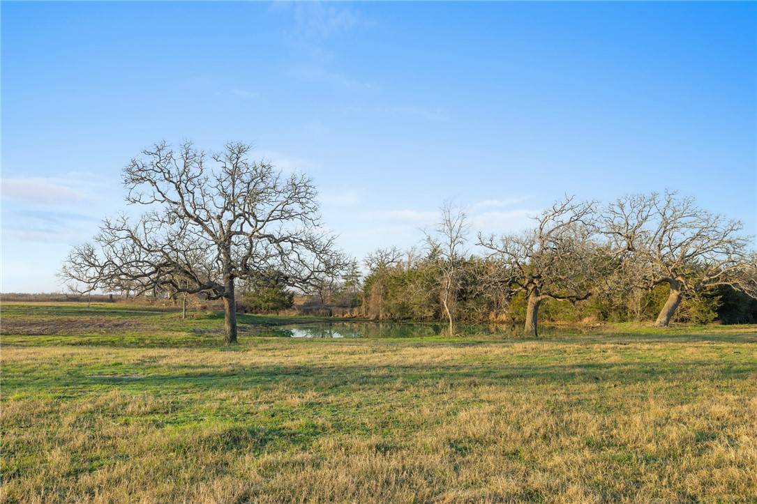 Somerville, TX 77879,3.514 ac (Lot 2S) CR 410