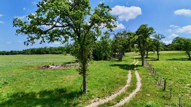 Franklin, TX 77856,2876 Grant Prairie Rd (+/-75.7 acres)