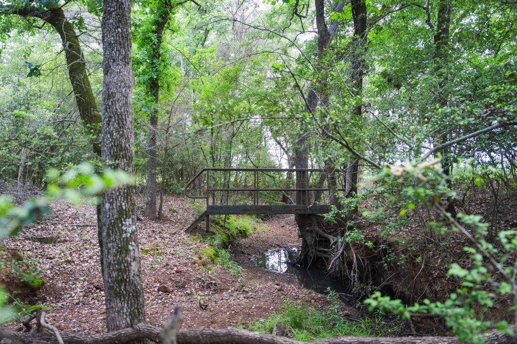 Bryan, TX 77808,6455 Wheelock Hall RD