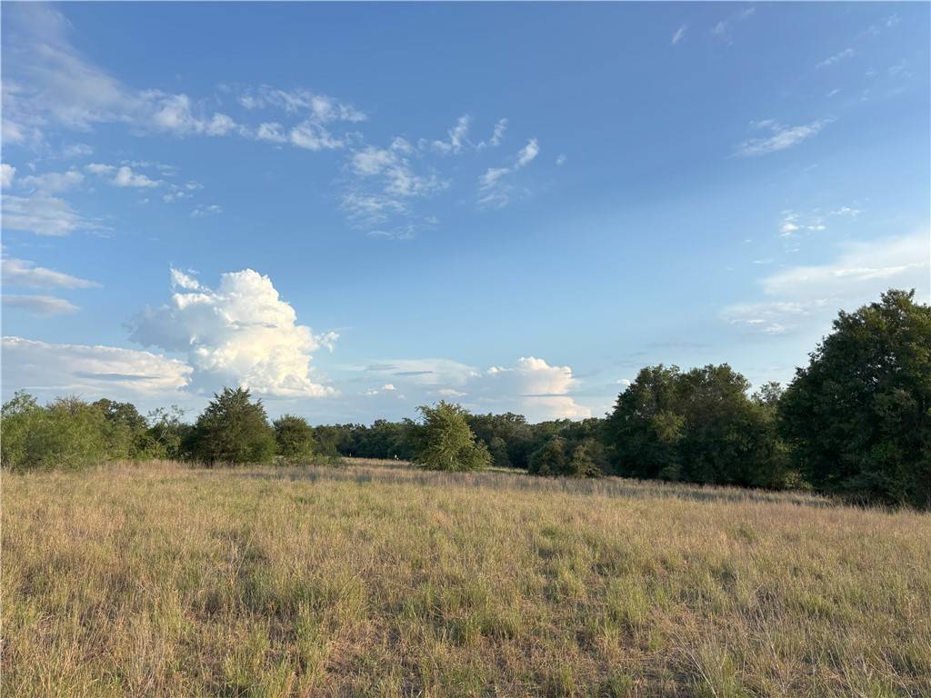 Rockdale, TX 76567,TBD CR 302