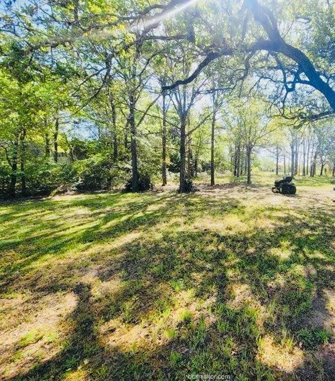 Somerville, TX 77879,1601 Silver Ore RD