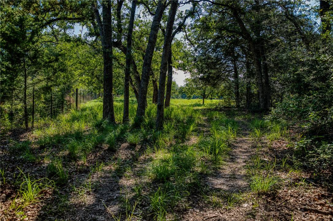 Lexington, TX 78947,1012 County Road 438