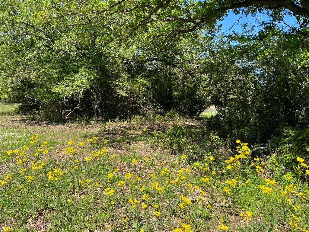 College Station, TX 77845,13396/13185 Hopes Creek Meadow CIR