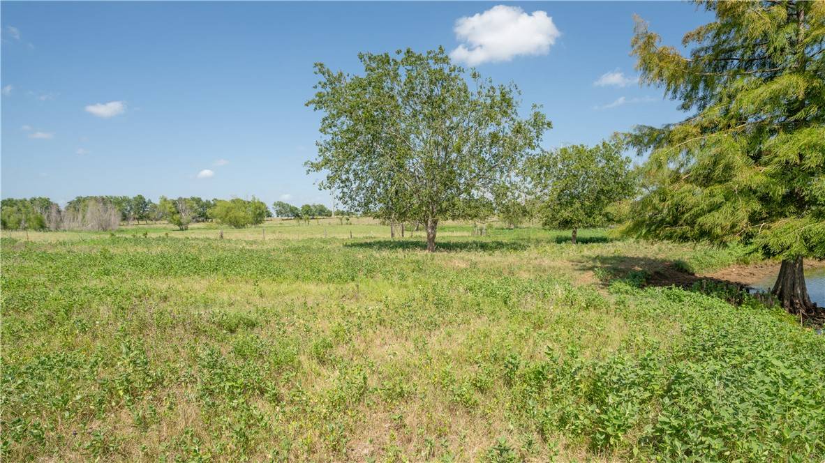 Caldwell, TX 77836,845-B County Road 208