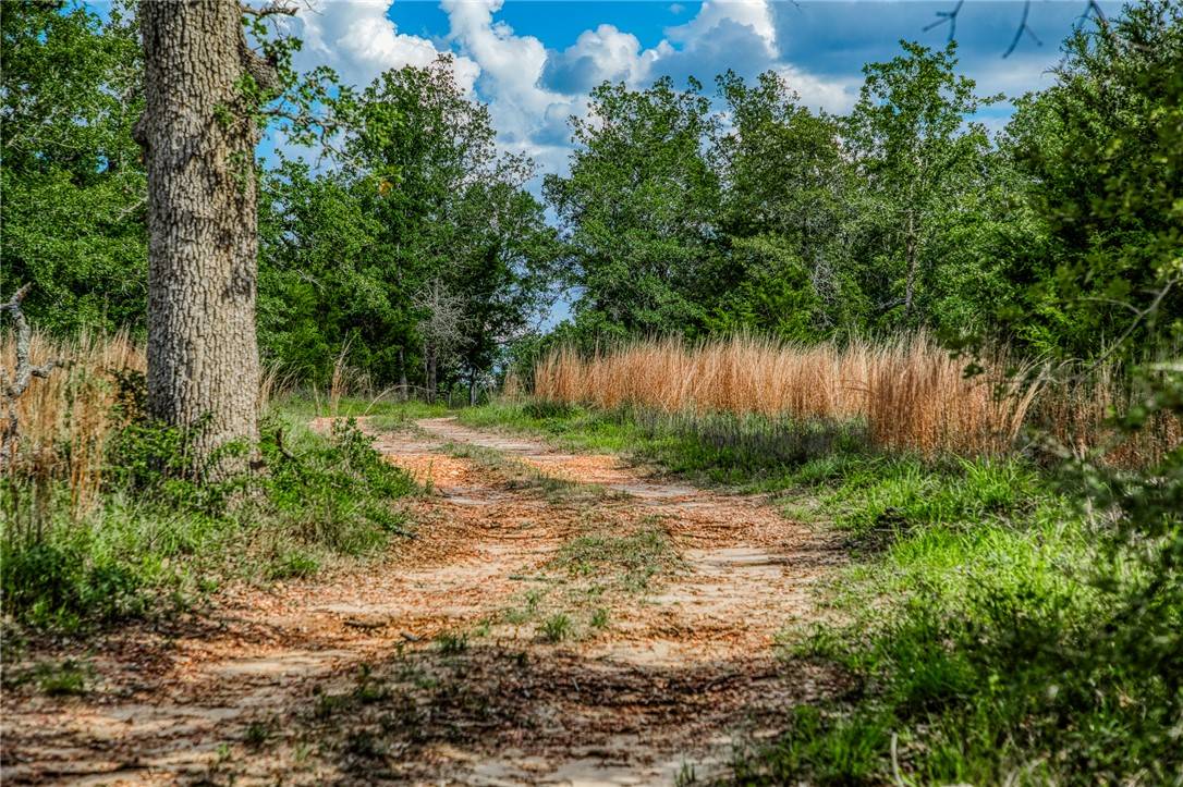 Ledbetter, TX 78946,5988 FM 180