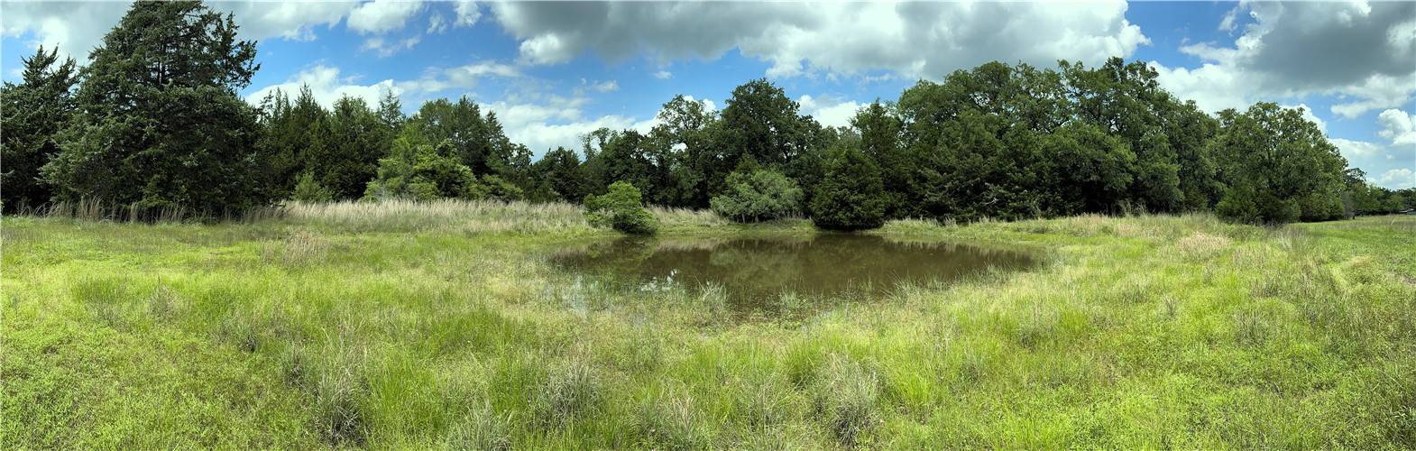 Wheelock, TX 77882,TBD Bryan Place LN