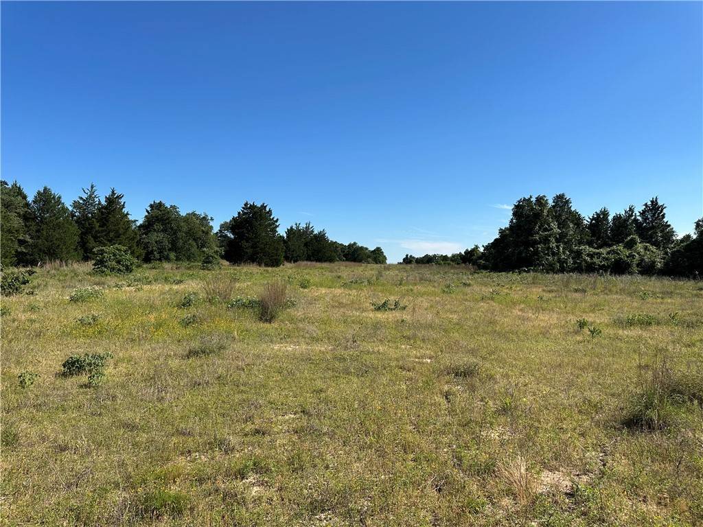Teague, TX 75840,TBD FCR 720