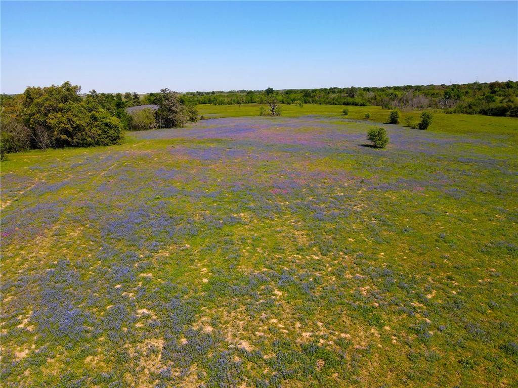 Navasota, TX 77868,TBD 119 Fm 1227 RD