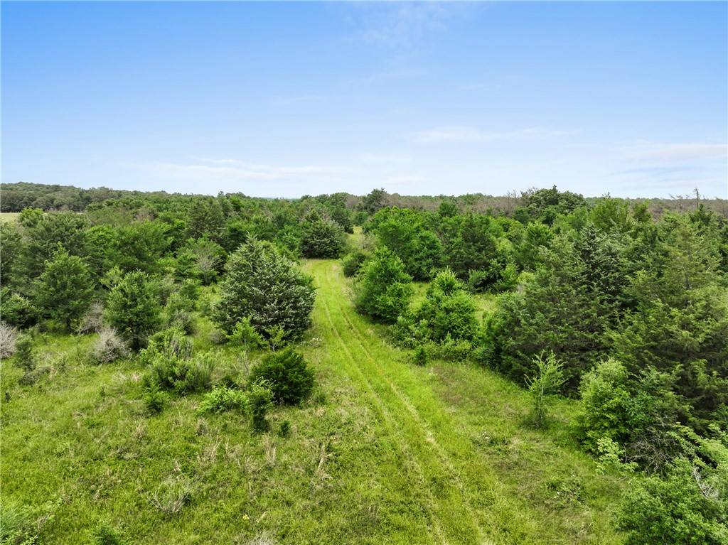 Normangee, TX 77871,+/- 35 AC Batson Road