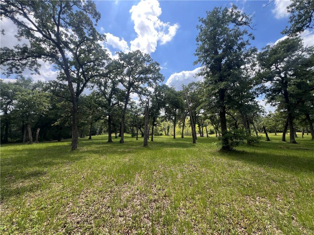 Caldwell, TX 77836,Lot 568B Deer Ledge